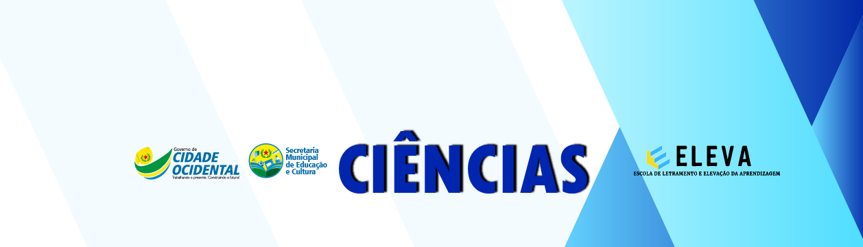Course Image 1º BIMESTRE - EM ROSANE MARIGUELLA FILOMENO - CIÊNCIAS - 8A - ELEVA - 2025